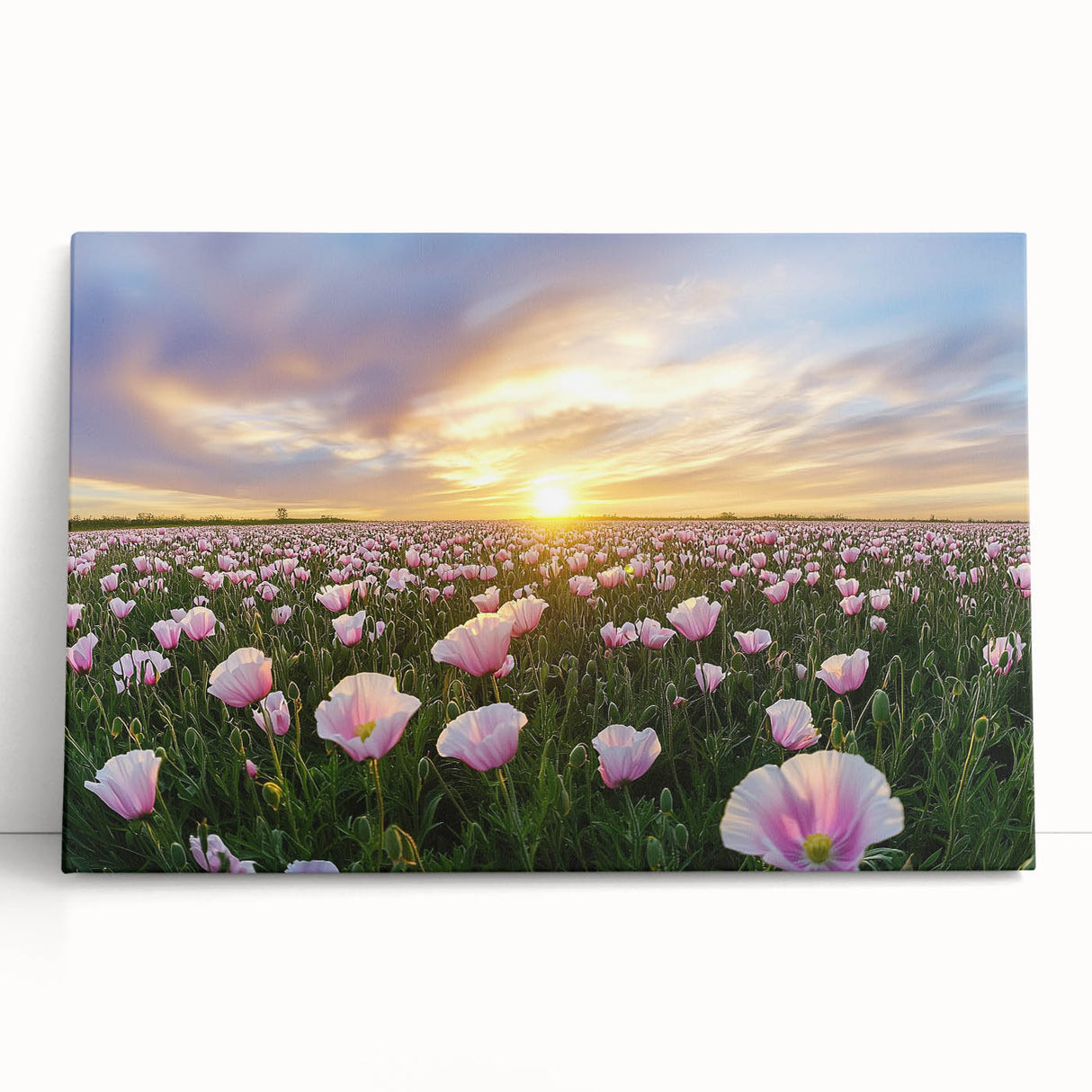 Vibrant stretched canvas artwork depicting a picturesque landscape with lush green fields under a bright blue sky, ideal for home decor and art enthusiasts.
