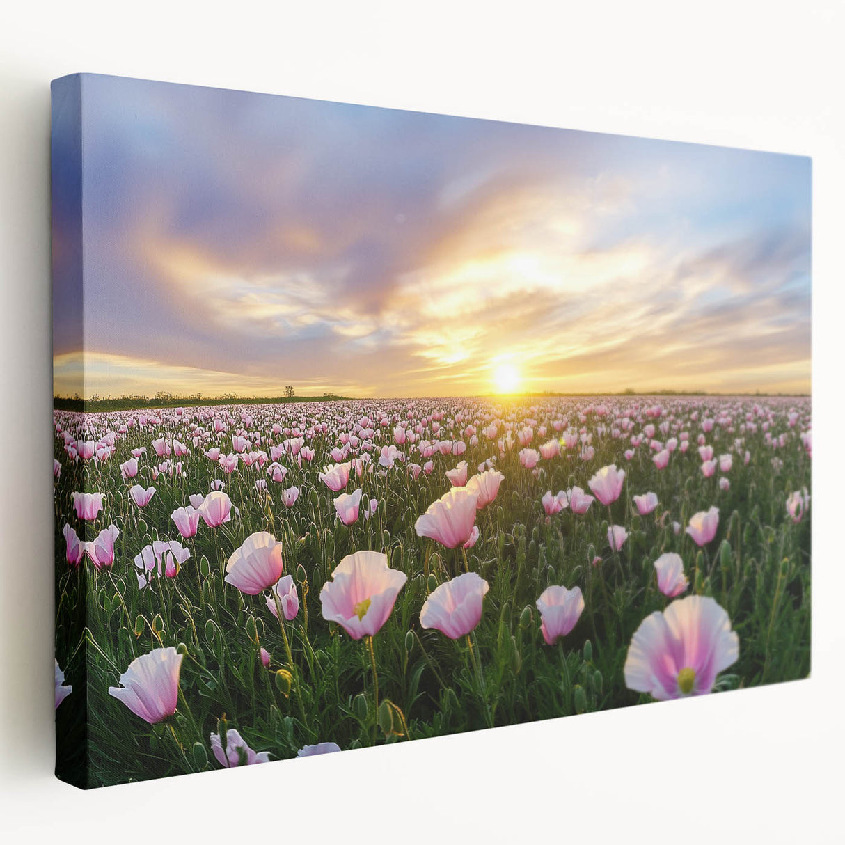 Vibrant stretched canvas artwork depicting a serene landscape of rolling fields in rich green and golden hues, showcasing a side view for depth and detail.