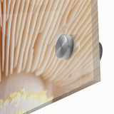 Large abstract floral print in vibrant oranges and yellows on acrylic glass, suited for dining room art.