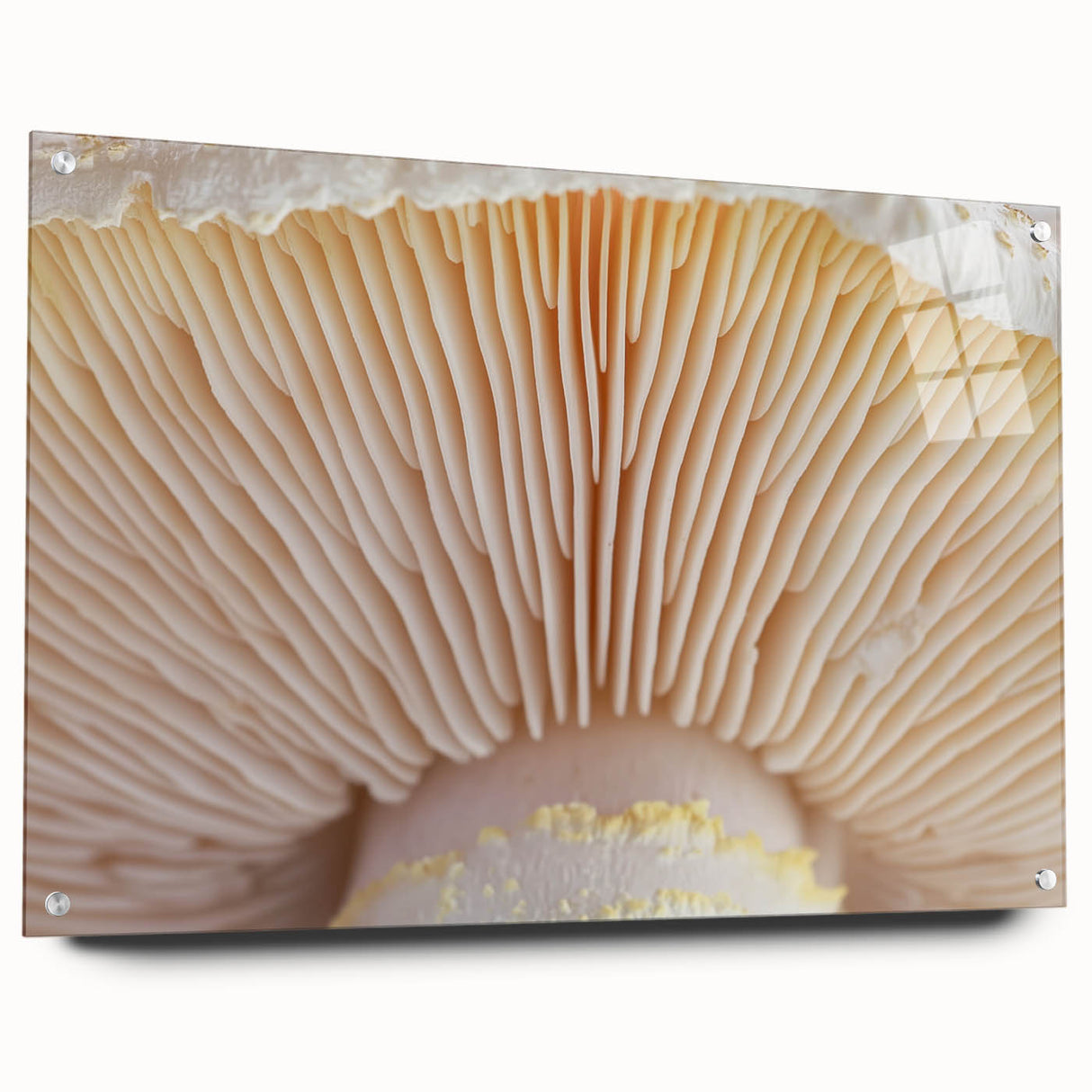 Close-up of floral acrylic print in muted greens and whites, ideal for dining room or bedroom decor.
