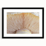 Extra large abstract art print featuring vibrant, colorful floral patterns on a textured canvas, ideal for living room decor.