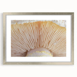 Textured art print of abstract florals in soft pastel shades, framed in silver, ideal for bedroom decor.