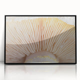 Large abstract wall art featuring close-up floral designs in vibrant colors on a framed acrylic.