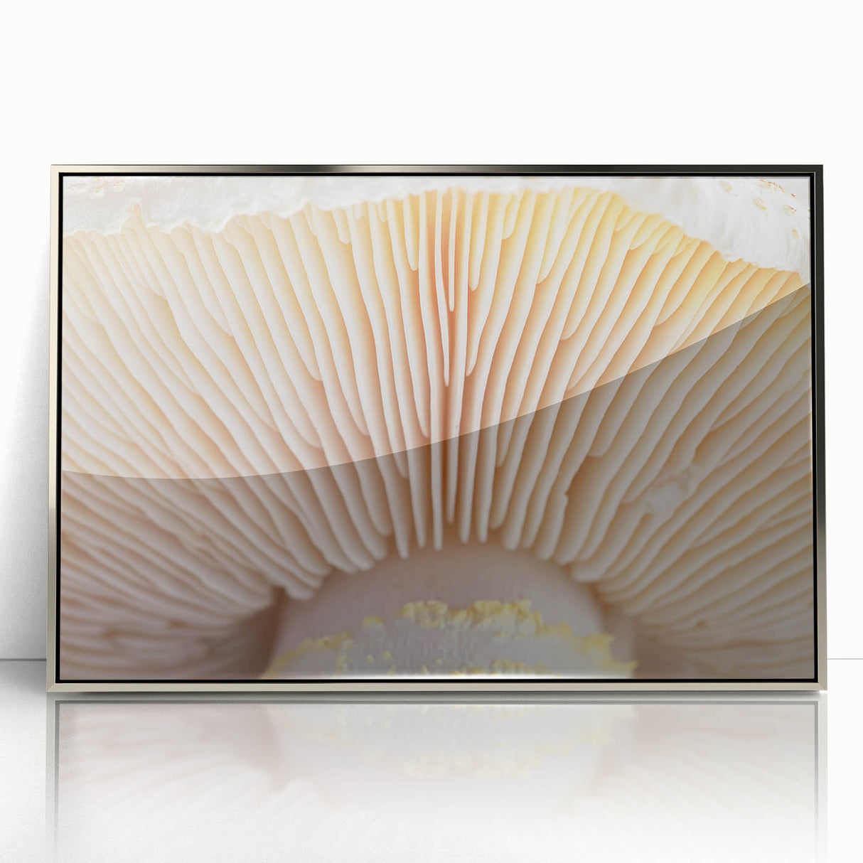 Mid-century modernist floral art in muted pastel shades on a framed acrylic, suitable for nursery wall decor.