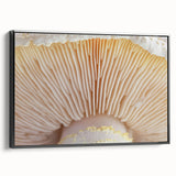 Black and white framed canvas featuring a close-up floral design, ideal for bedroom wall art with a vintage poster style.