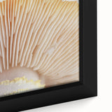 Extra large framed canvas of a close-up floral design featuring textured black background with vibrant, colorful blossoms.