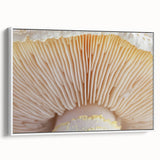 Vintage poster art of colorful florals on a black background, framed canvas, suitable for extra large living room wall.