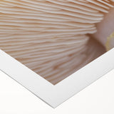 Art deco poster featuring close-up floral designs in muted colors on rolled canvas.