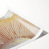 Extra large rolled print featuring line art flowers in black on white, ideal for large living room wall art.