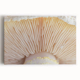 Black and white close-up photo of flowers on a large stretched canvas, ideal for kitchen wall art.