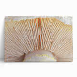 Black and white close-up photo of flowers on a stretched canvas, ideal for kitchen wall art or bedroom decor.