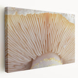 Close-up floral design on stretched canvas with vibrant green and pink tones, ideal for kitchen wall art.