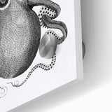 Vintage Scientific Octopus Print | Eight-Armed Cuttlefish by George Shaw