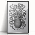 Vintage Scientific Octopus Print | Eight-Armed Cuttlefish by George Shaw