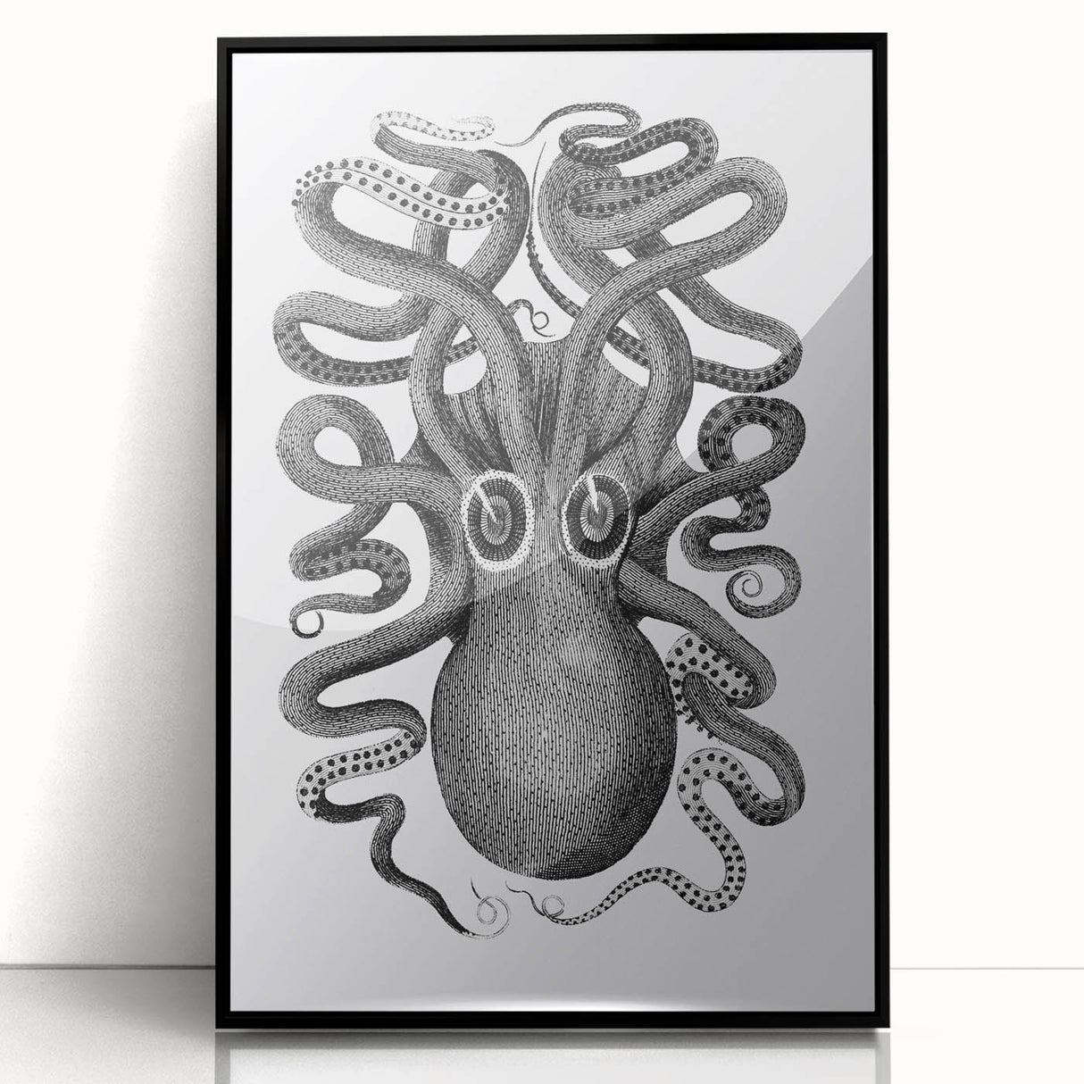 Vintage Scientific Octopus Print | Eight-Armed Cuttlefish by George Shaw