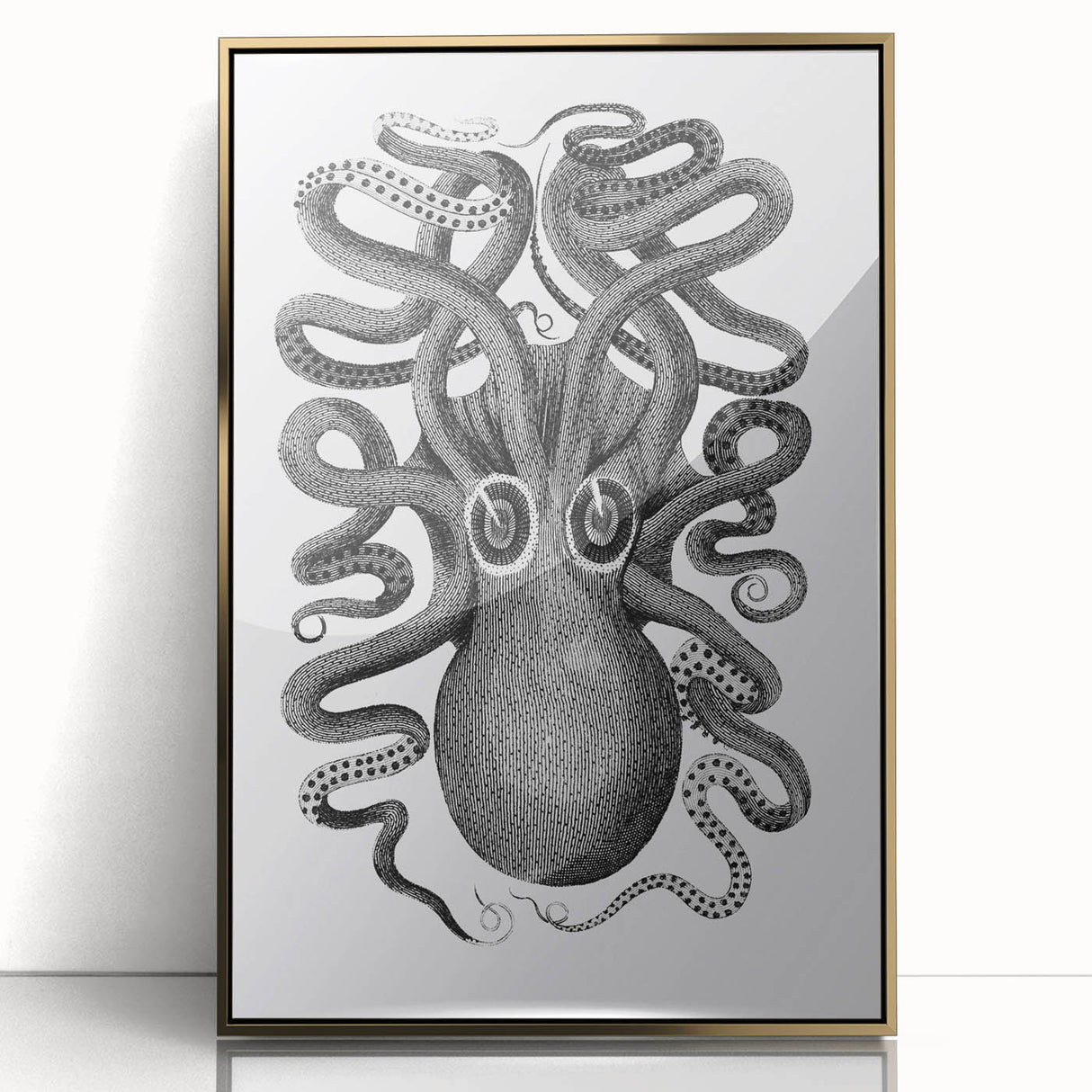 Vintage Scientific Octopus Print | Eight-Armed Cuttlefish by George Shaw