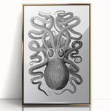 Vintage Scientific Octopus Print | Eight-Armed Cuttlefish by George Shaw