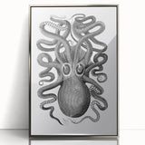 Vintage Scientific Octopus Print | Eight-Armed Cuttlefish by George Shaw