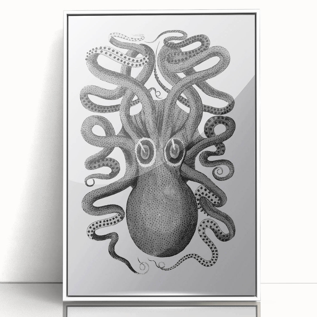 Vintage Scientific Octopus Print | Eight-Armed Cuttlefish by George Shaw
