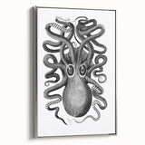Vintage Scientific Octopus Print | Eight-Armed Cuttlefish by George Shaw