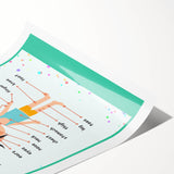 Educational Nursery Wall Decor - Parts of the Body Learning Print