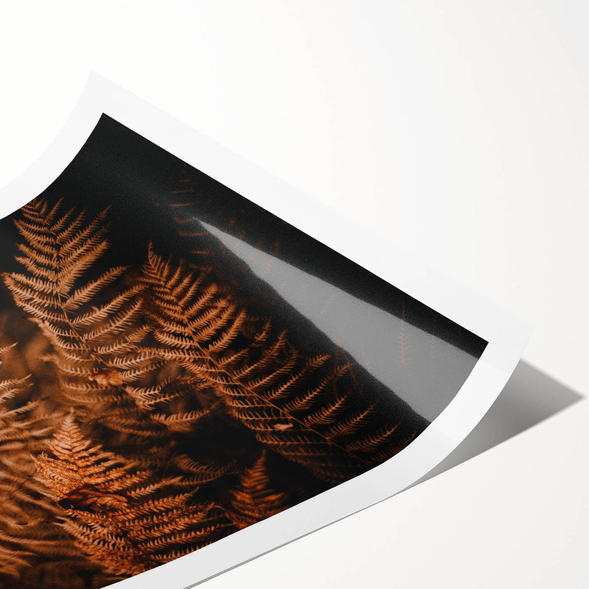Extra large wall art featuring line art flowers in autumn shades on rolled canvas, ideal for large living room decor.