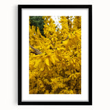 Abstract art print featuring textured, colorful swirls of spring hues on a large canvas, ideal for living room decor.