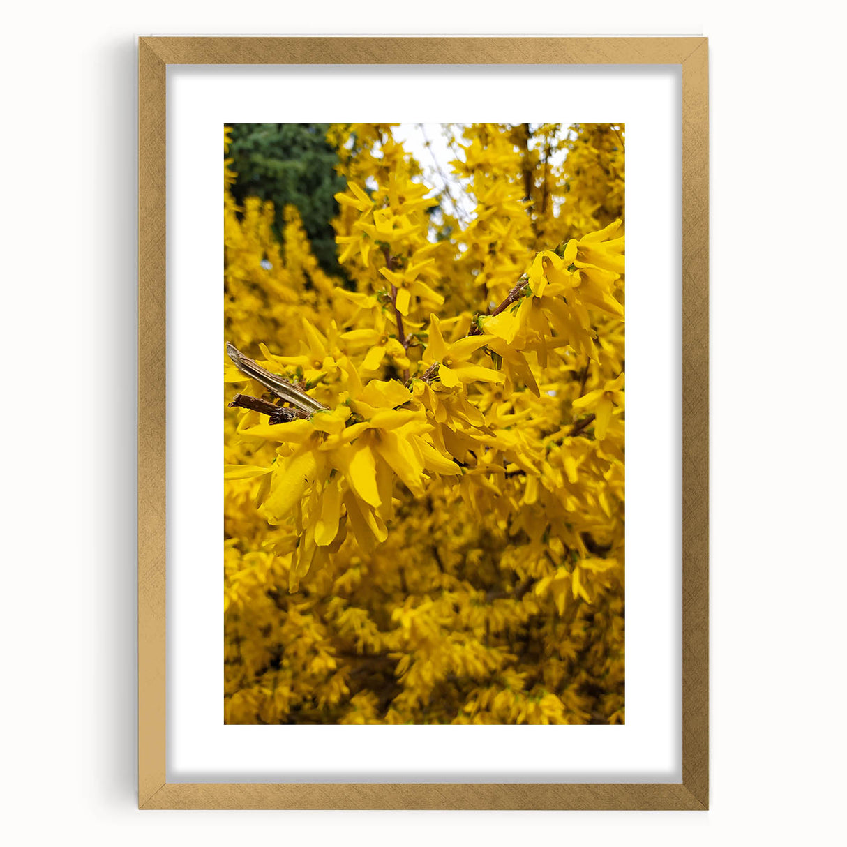 Abstract art print featuring textured swirls in soft green and yellow, framed in gold.