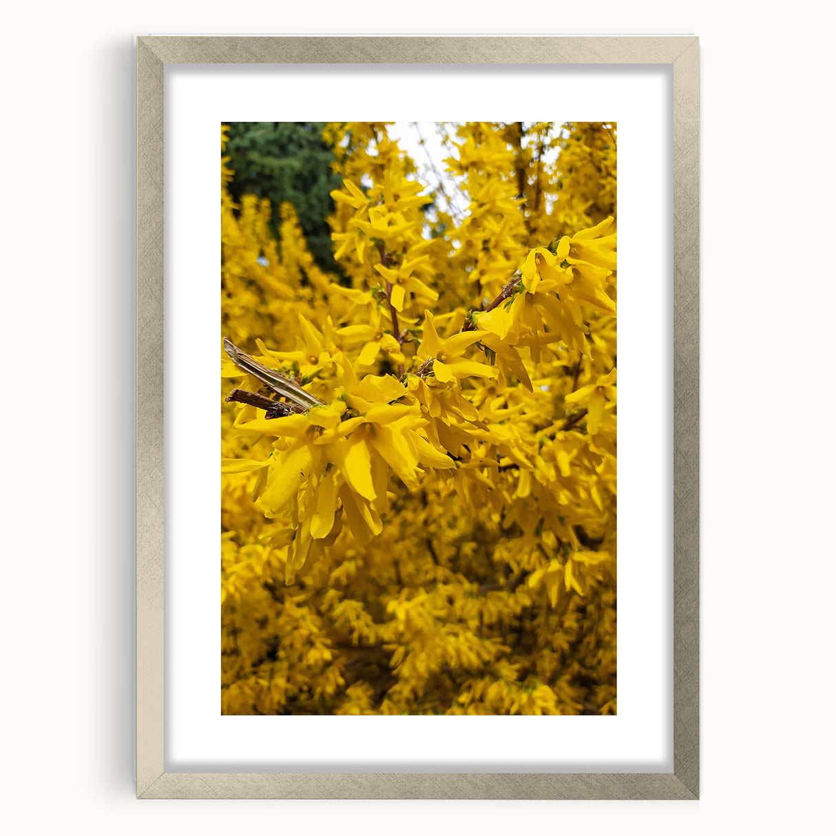 Textured abstract art print depicting spring, with soft green and yellow tones on a silver-framed canvas.