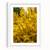 Abstract art print featuring swirling spring hues in green and yellow on a white framed canvas.