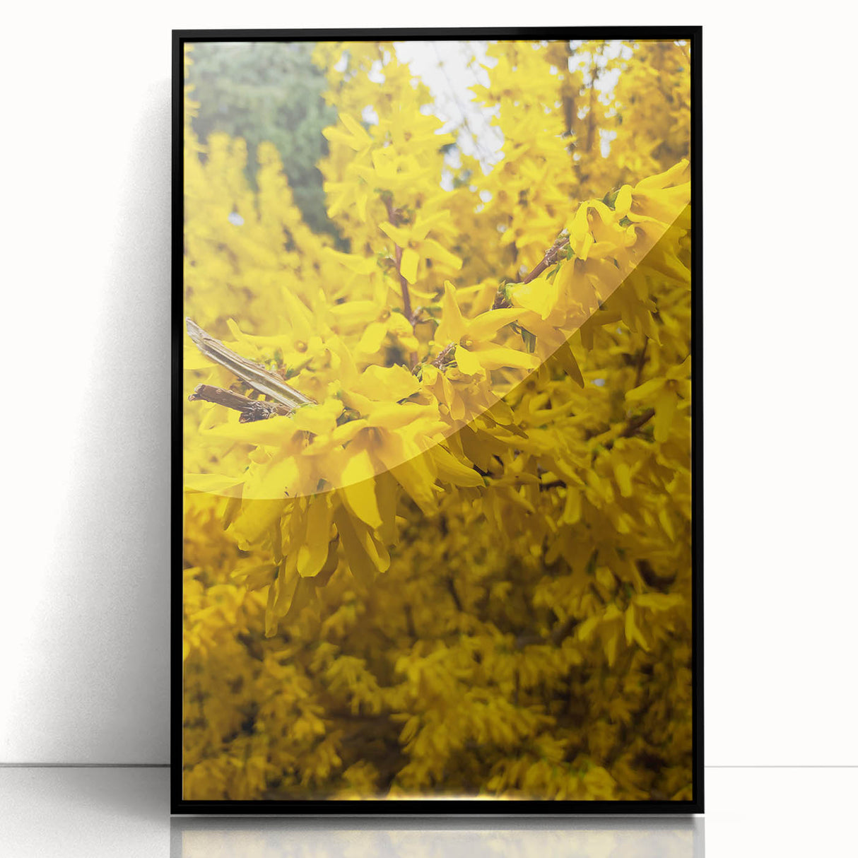 Large abstract wall art featuring fluid shapes in pastel shades on a black framed acrylic.