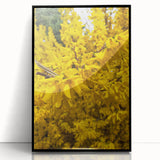 Large abstract wall art featuring fluid shapes in pastel shades on a black framed acrylic.