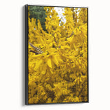 Black and white vintage poster art of a spring landscape on framed canvas, ideal for bedroom wall decor.