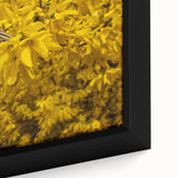 Extra large framed canvas depicting a textured, colorful abstract design on a black background, ideal for living room decor.