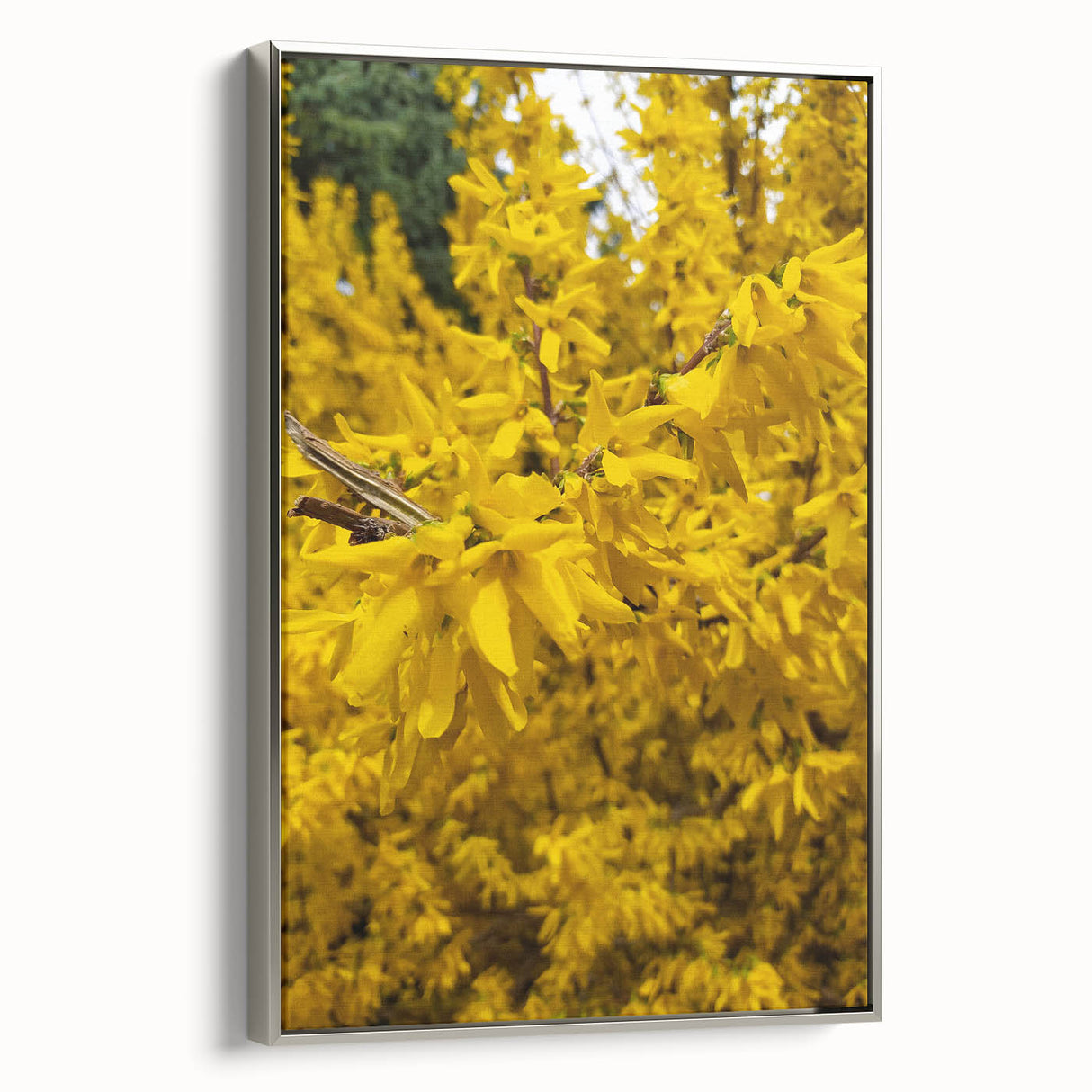 Framed canvas landscape art painting depicting spring with colorful blossoms and a silver frame, ideal for living room decor.