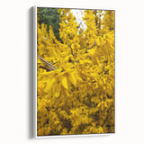 Vintage poster art of spring season in pastel colors on a framed canvas, ideal for living room decor.