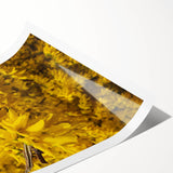 Extra large rolled print featuring line art flowers in spring theme, ideal for large living room wall art.