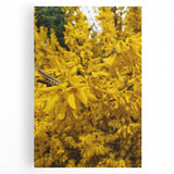 Black and white abstract design on large stretched canvas, ideal for kitchen wall art.