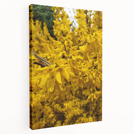 Spring-themed abstract painting on stretched canvas, featuring soft green and pink hues, suitable for kitchen wall art.