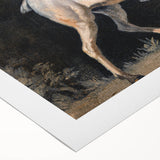 Modern Wall Art - Saddled Gray Horse in Motion