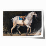 Modern Wall Art - Saddled Gray Horse in Motion