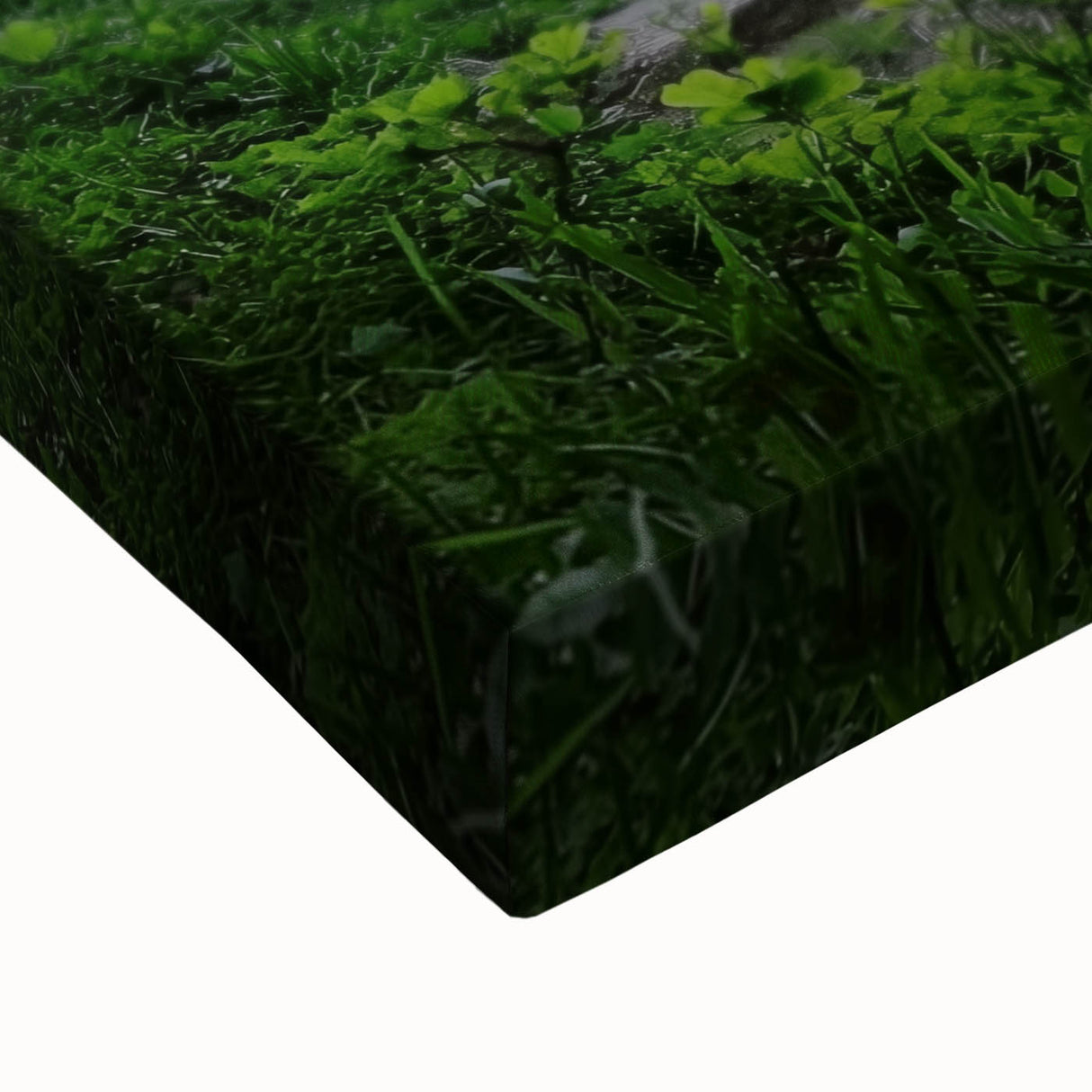 Close-up of a stretched canvas featuring an intricate landscape design with natural cave formations, showcasing rich earthy tones and detailed textures, perfect for home decor.