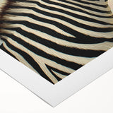Rolled canvas showcasing a vibrant, colorful design of various animals in a whimsical style, perfect for adding a playful touch to home decor, securely packaged in a protective tube.