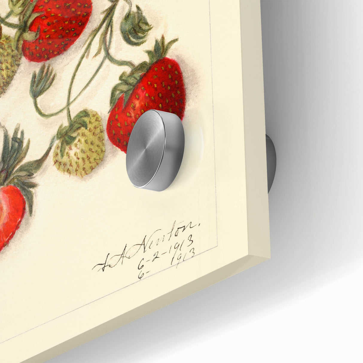 Close-up of large abstract wall art featuring assorted fruits in vibrant colors on acrylic glass.