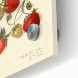 Close-up of large abstract wall art featuring assorted fruits in vibrant colors on acrylic glass.