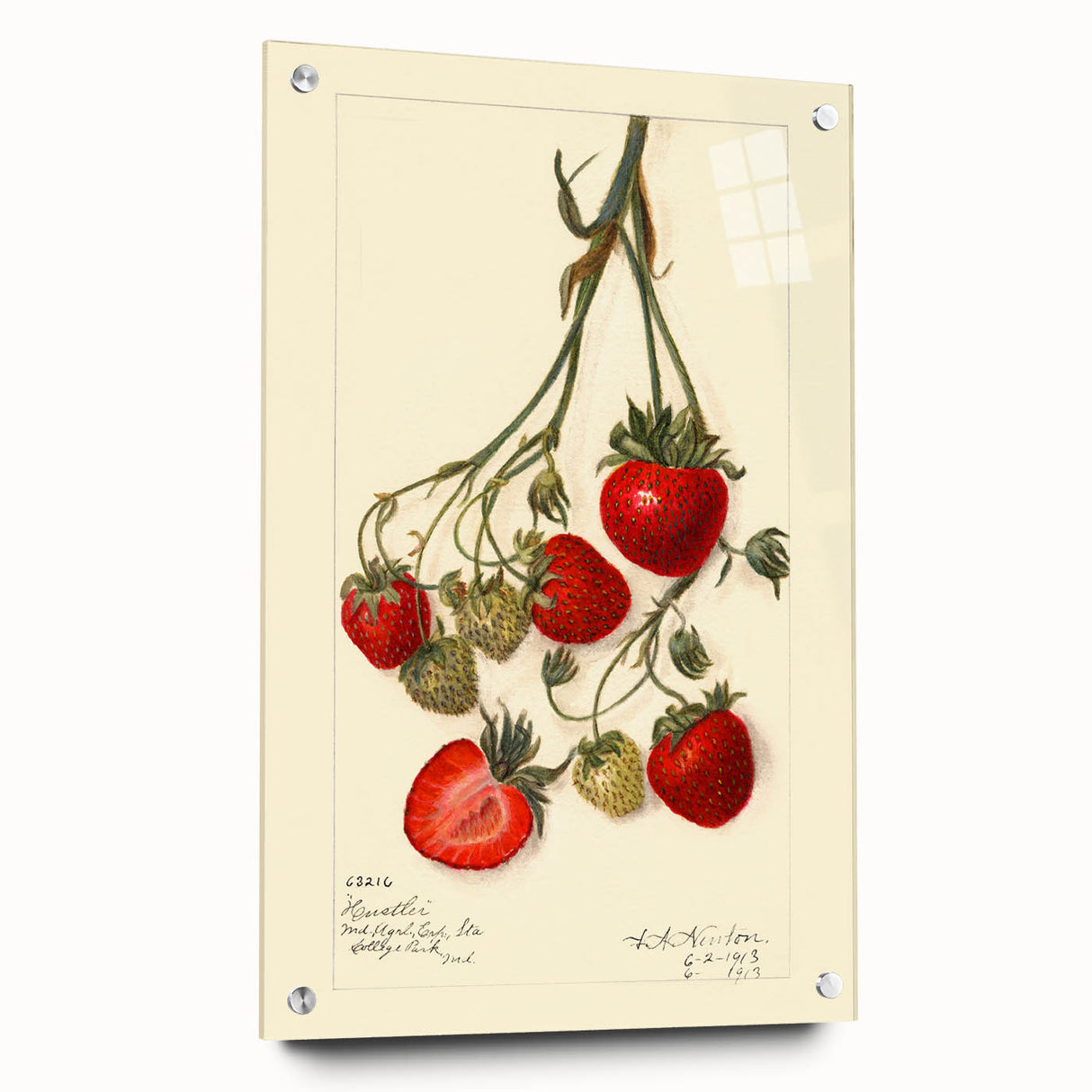 Acrylic print of large abstract wall art featuring assorted fruits in vibrant colors, ideal for dining room decor.