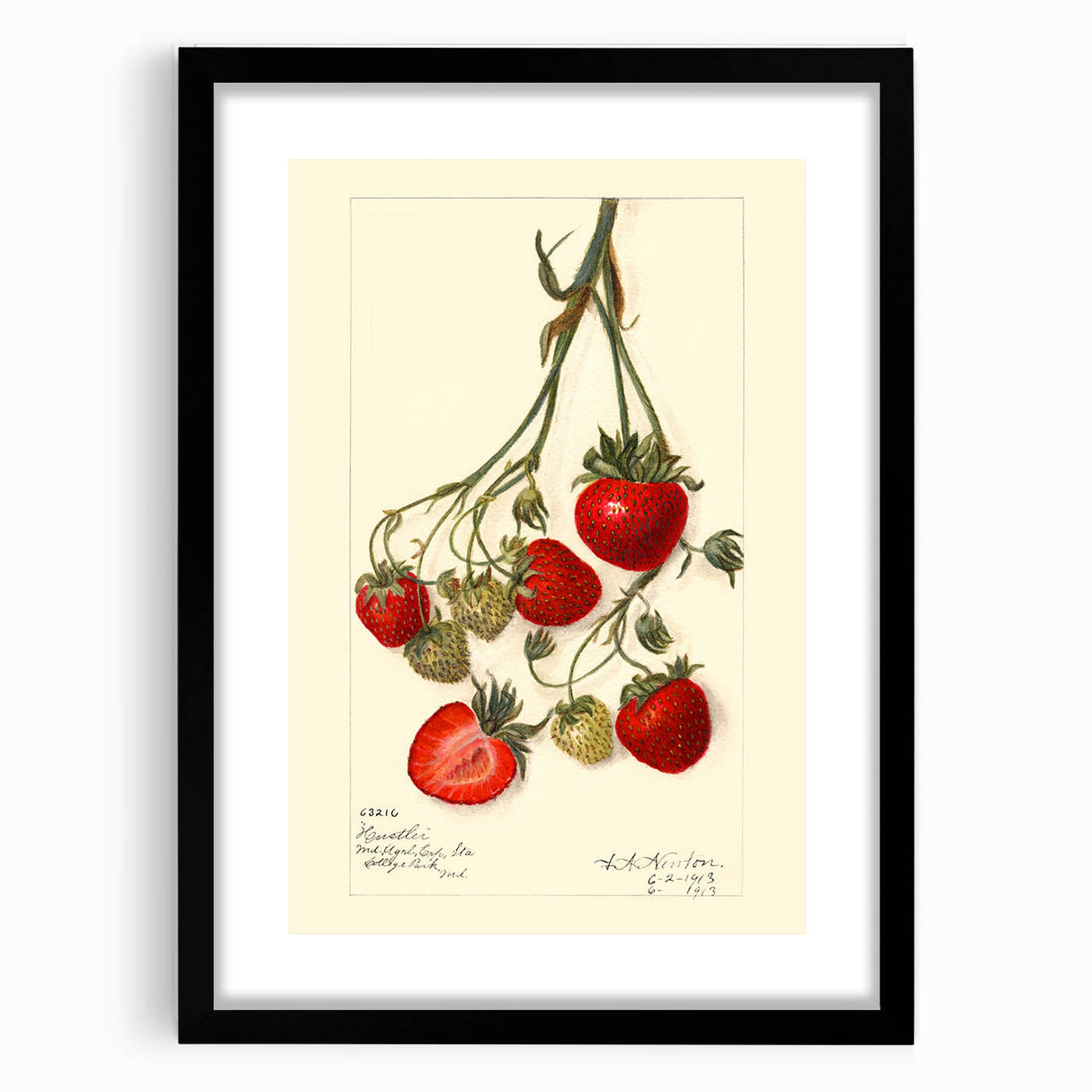 Extra large abstract art print featuring a colorful, textured design of assorted fruits, framed in black.