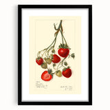 Extra large abstract art print featuring a colorful, textured design of assorted fruits, framed in black.