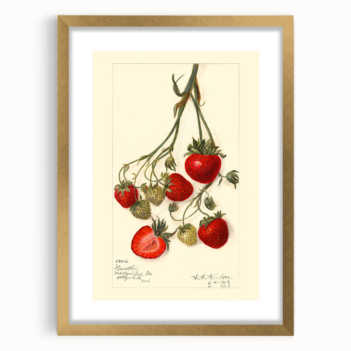 Extra large abstract art print featuring textured fruits in vibrant colors on a gold-framed canvas.