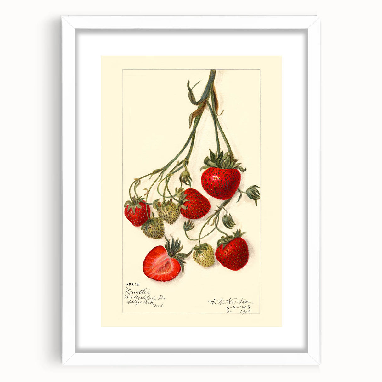 Abstract art print featuring assorted fruits in vibrant colors on a white framed mat, suitable for dining room decor.